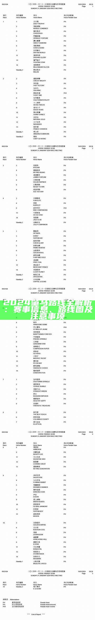 2024肇马路线全解析：赛事信息、路线图及注意事项