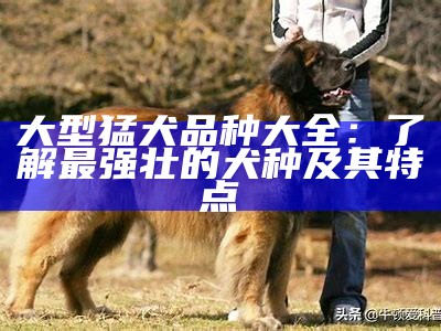 大型猛犬品种大全：了解最强壮的犬种及其特点