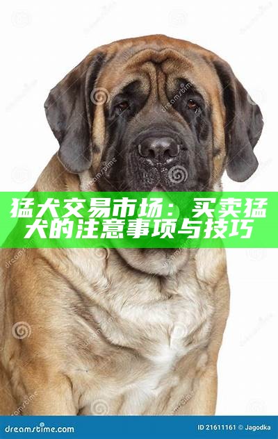 猛犬交易市场：买卖猛犬的注意事项与技巧